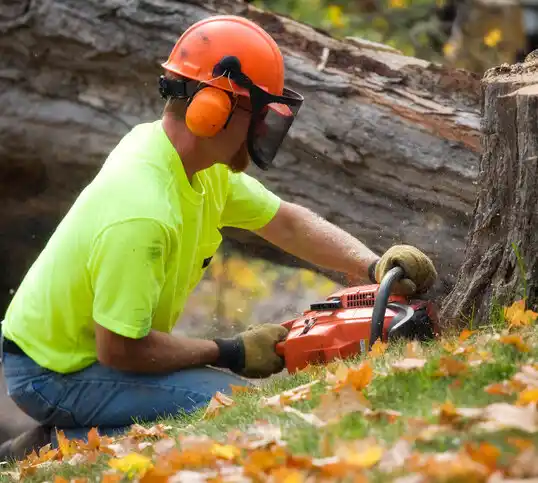 tree services Clawson